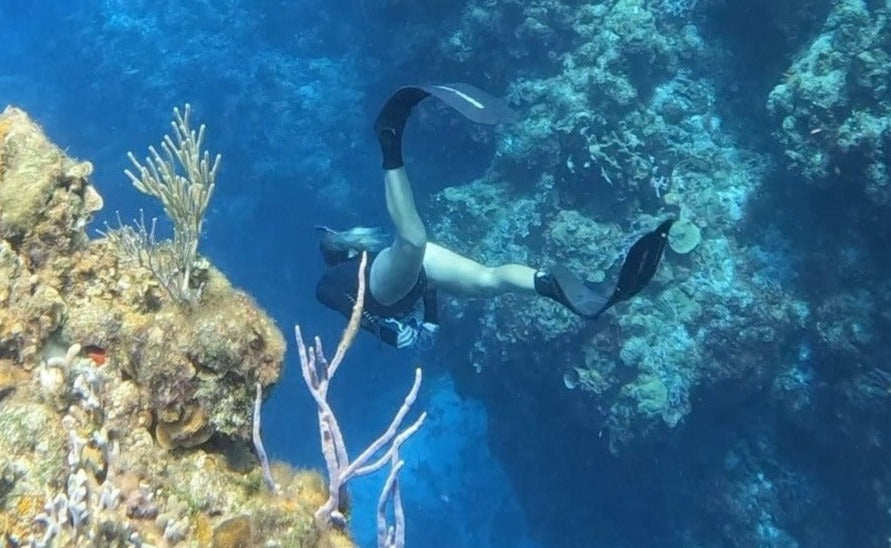 Freedive The Reef