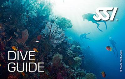 Dive Guide Certification