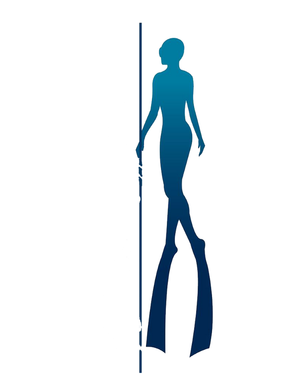 Dive & Shine Dive Center