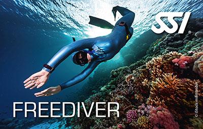 Freediving Level 1 Certification