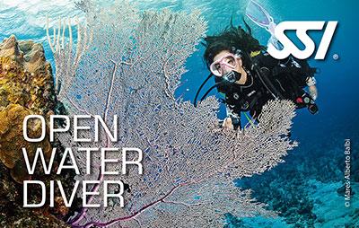 Open Water Diver Certification