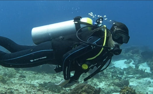 Certified Diver 2 Tank Boat Dive