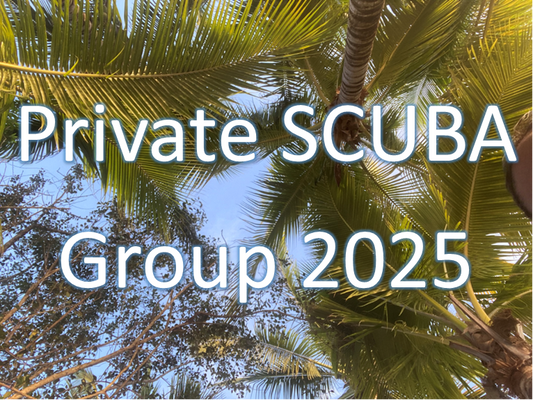 Private individual invoice for the January 2025 SCUBA group