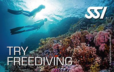 Try Freediving